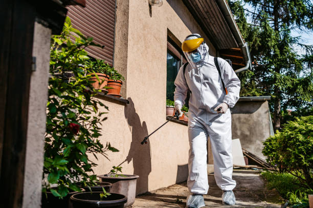 Best Rat Extermination Near Me  in Rushford, MN