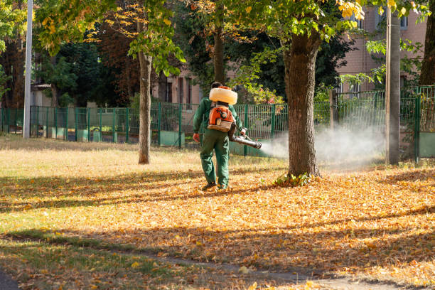 Best Pest Inspection Near Me  in Rushford, MN