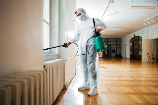 Best Local Pest Control Services  in Rushford, MN