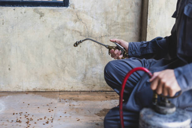 Best Affordable Pest Control Services  in Rushford, MN